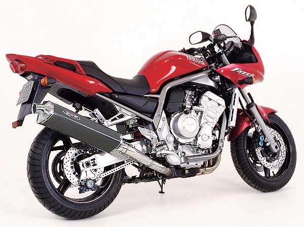 FZS 1000 01-05